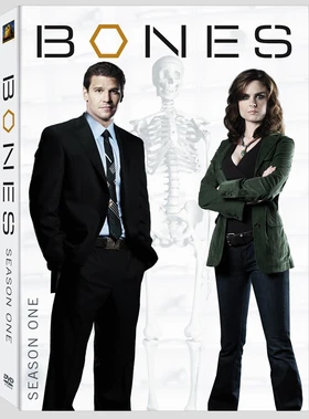 Bonesseas1r1artworkpic