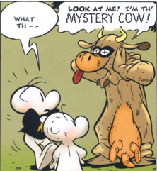 Mystery cow