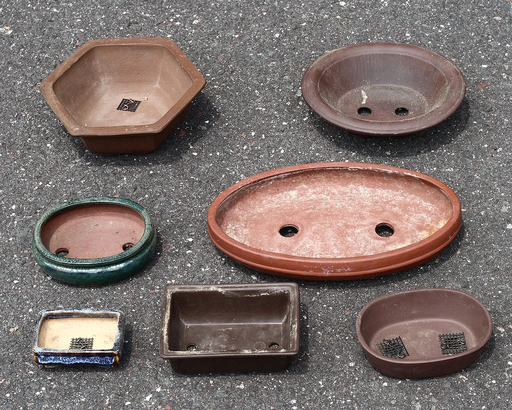 Bonsai Pots Bonsai Wiki Fandom