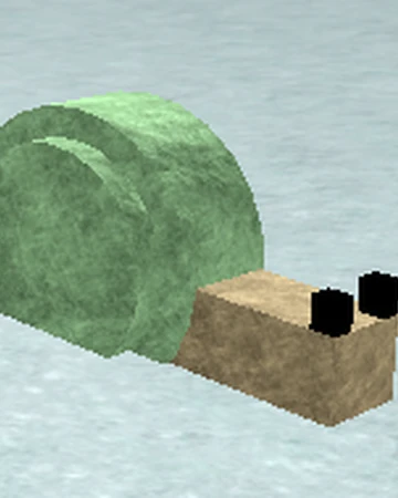 Sheldon Booga Booga Roblox Wiki Fandom - roblox booga booga private server youtube