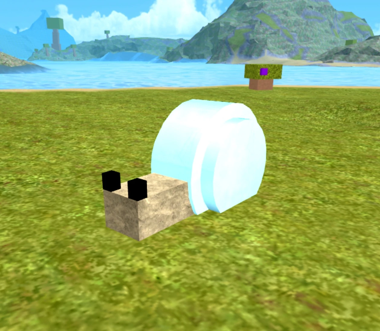 Crystal Shelly | Booga Booga : Roblox Wiki | Fandom