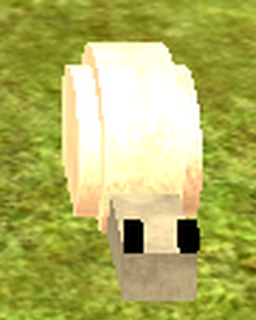 Shelbert Booga Booga Roblox Wiki Fandom - shelbert booga booga roblox wiki roblox booga booga wiki Shelbert Booga Booga Roblox Wiki Fandom - roblox booga booga wiki