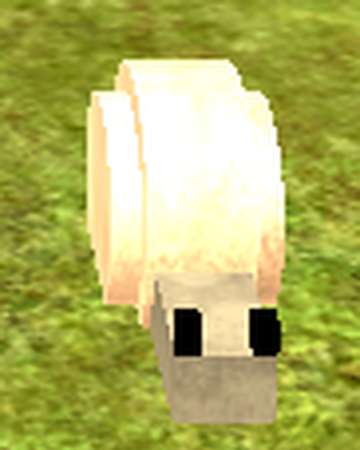 Shelbert Booga Booga Roblox Wiki Fandom - glitches booga booga roblox wiki fandom