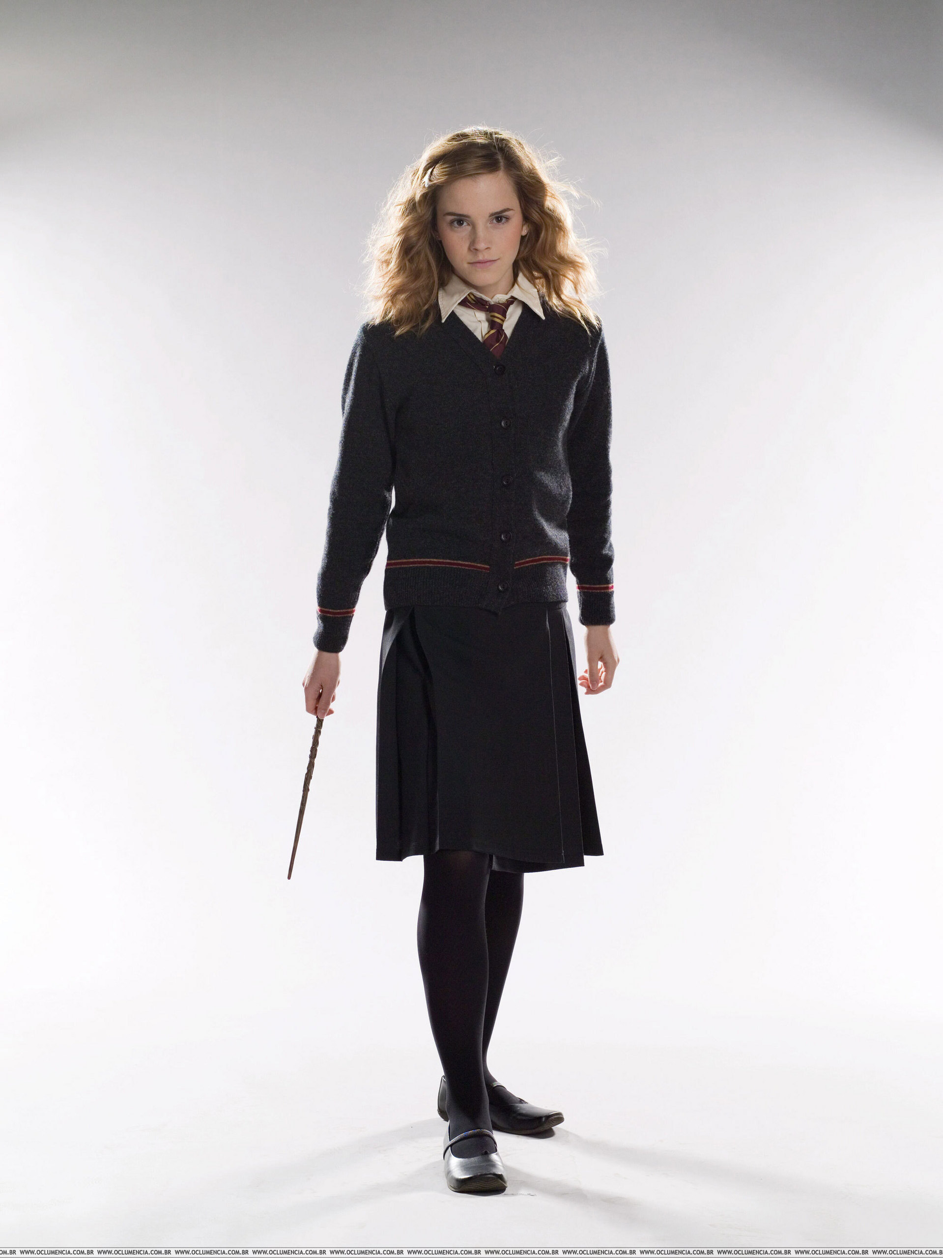 Hermione Granger - Harry Potter Wiki - Neoseeker
