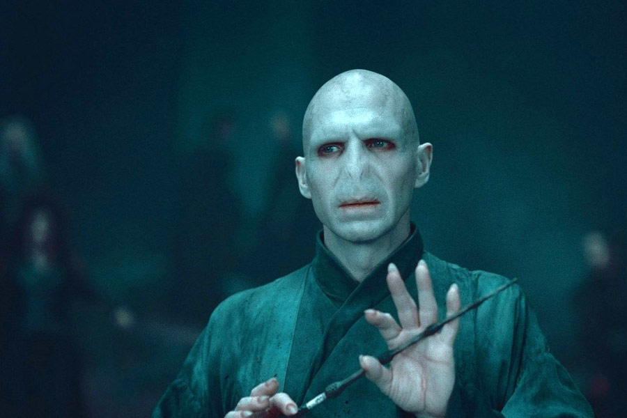 Lord Voldemort | Books to Movies Wikia | Fandom