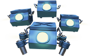Critter Swarm.png