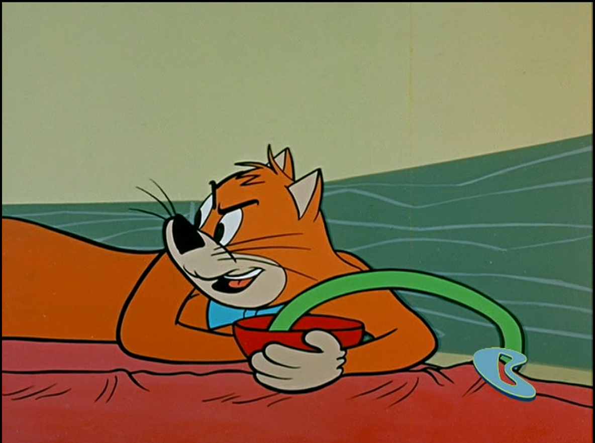 May 27, 2014 Boomerang Schedule Archive Wiki Fandom