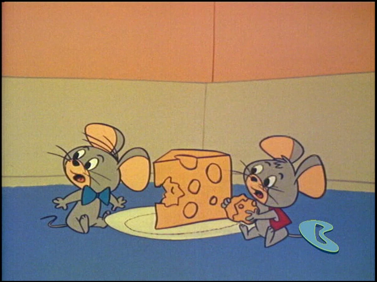 May 1, 2014 Boomerang Schedule Archive Wiki Fandom