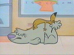 Big Dog | Boomerang from Cartoon Network Wiki | Fandom