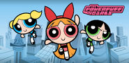 The Powerpuff Girls (2008-2015)