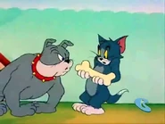 Boomerang Theater Tom and Jerry in Cinderella (1950) Summer 2013 1748291853.jpg (182 KB)