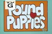 Pound Puppies (2003-2013