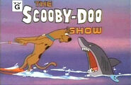 The Scooby-Doo Show (2000-2014)