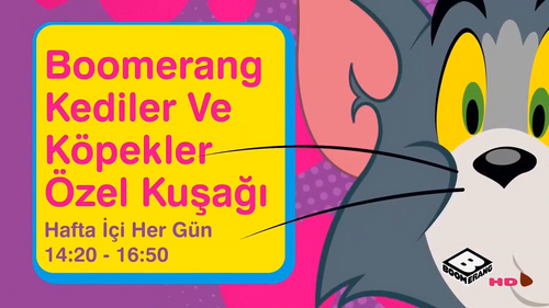 kediler ve kopekler ozel kusagi
