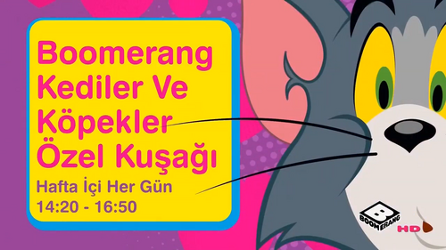 Kediler ve Köpekler Özel Kuşağı hafta içi her gün 14 20 - 16 50 arasında Boomerang'ta! 0-26 screenshot