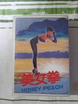 美女拳 捉え HONEY PEACH 海外 ファミコン レア