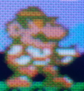 Mario as he appears in the hack.
