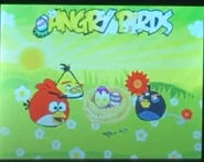 Splash Screen from the PXP 3