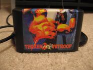 VF.jpg (121 KB) Reprint cartridge featuring Wolf from VF2 and Terry from Garou: Mark of the Wolves.