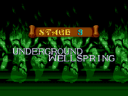 The Lion King 3 - Stage 3 - Underground Wellspring