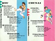 Street Fighter 2 Manual.