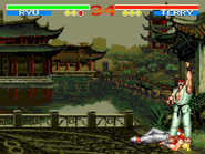 Some stages are ripped from Fatal Fury 3