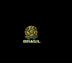 Futebol Brasileiro '96, BootlegGames Wiki