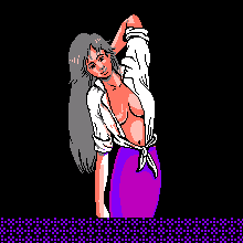 peek a boo poker nes