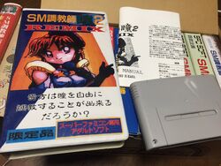 SM Choukyoushi Hitomi Vol. 2 | BootlegGames Wiki | Fandom