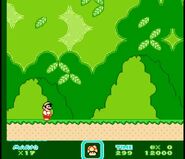 Yoshi's Island 2.
