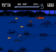 Gameplay.