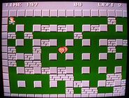 Screenshot of the game, with Woody as Bomber man
