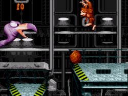 Super Donkey Kong '99 vs. Master Necky Snr..png