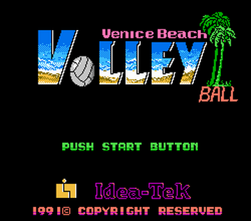 Venice Beach Volleyball BootlegGames Wiki Fandom