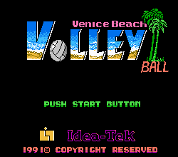 Beach hot sale volleyball nes