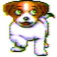 ZDog dog.png