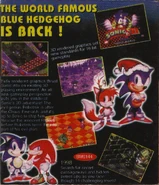 Back of the alternate release. Note the usage of "Sonic Jam" and "Sonic 3D Blast" screenshots, as well as the out of place artwork.