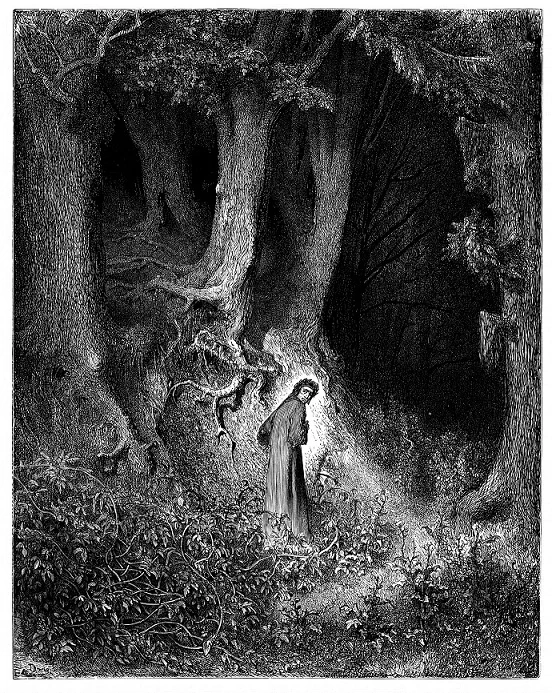 Thornwood Border Princes Wiki Fandom