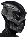 BL2-Zer0-Head-Alienati0n.png