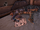 破滅をもたらすもの.png