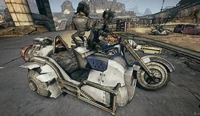 Road Gunner 1.jpg (539 KB) Basic Road Gunner bike