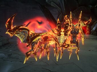 Bellik species infoboxpic.jpg