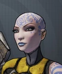 Maya 14 Special Edition Clean Shave.jpg
