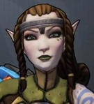 Elven Eliminator.JPG