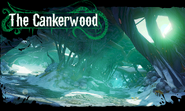 The Cankerwood