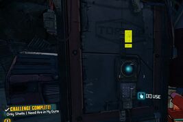 Only Shells