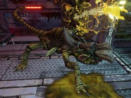 Kukuwajack infoboxpic