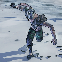 Psycho Borderlands 2 Borderlands Wiki Fandom