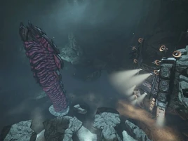 Haderax l'Invincible