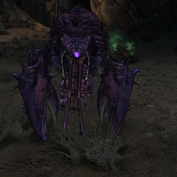 tactics purple lobster